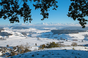 Sinnbild für den Oktober 2012: Grünes Eichenlaub vor Winterlandschaft - sonst nur mit Fotomontage machbar